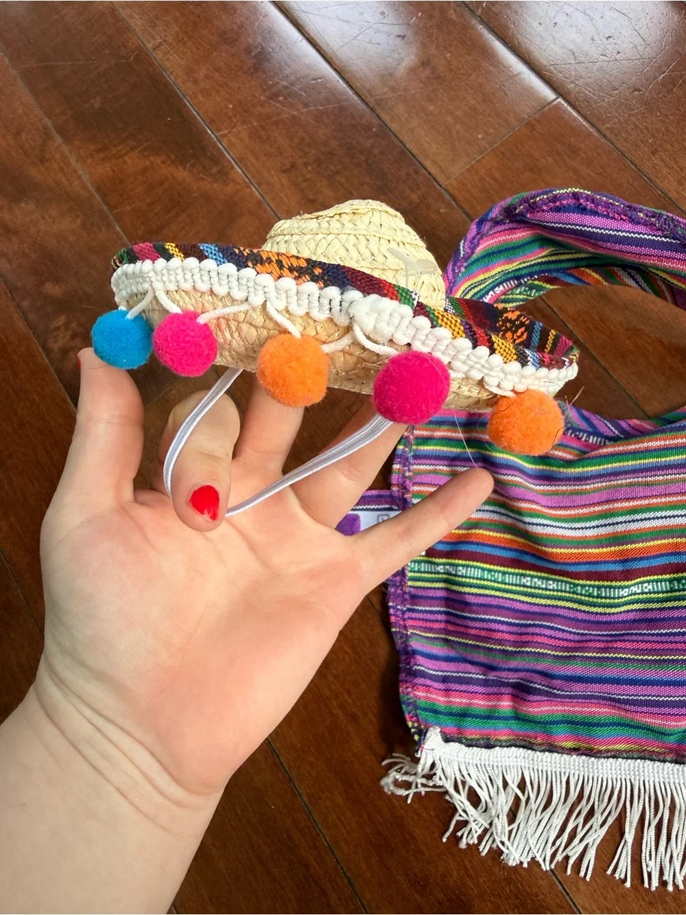 Pup Crew Mexican Fiesta Sombrero & Serape Dog Costume, size XS/Small